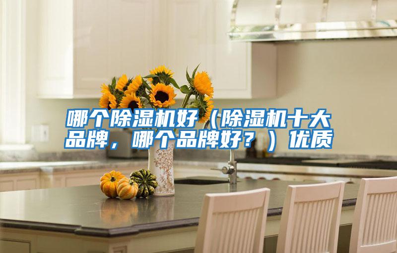 哪個除濕機好（除濕機十大品牌，哪個品牌好？）優質