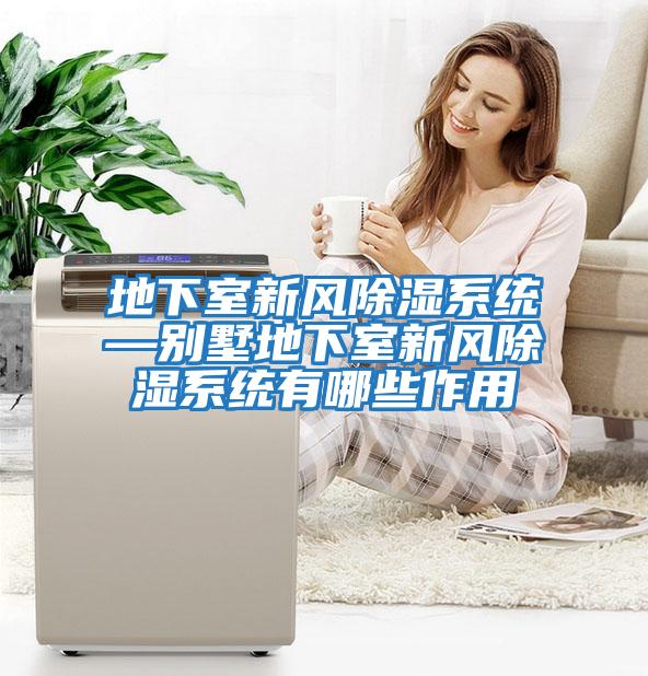 地下室新風除濕系統—別墅地下室新風除濕系統有哪些作用