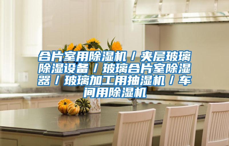 合片室用除濕機(jī)/夾層玻璃除濕設(shè)備/玻璃合片室除濕器/玻璃加工用抽濕機(jī)/車間用除濕機(jī)