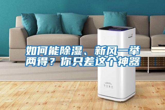 如何能除濕、新風(fēng)一舉兩得？你只差這個神器