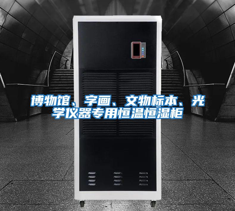 博物館、字畫、文物標本、光學儀器專用恒溫恒濕柜