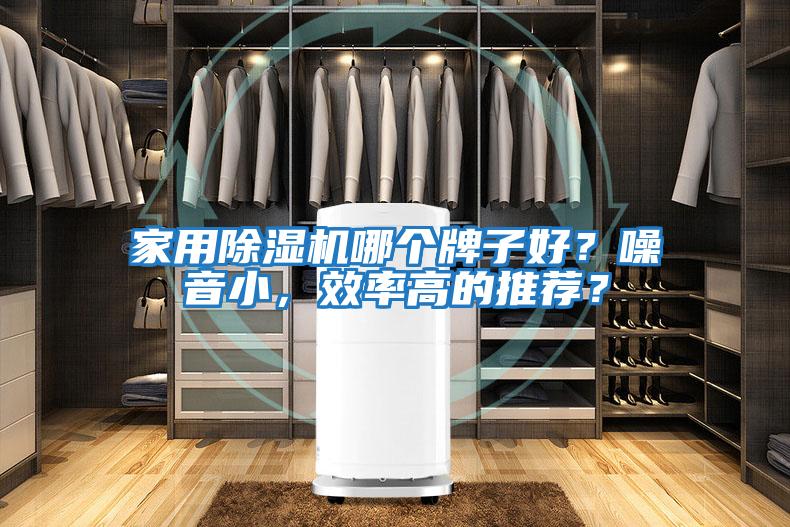 家用除濕機(jī)哪個(gè)牌子好？噪音小，效率高的推薦？