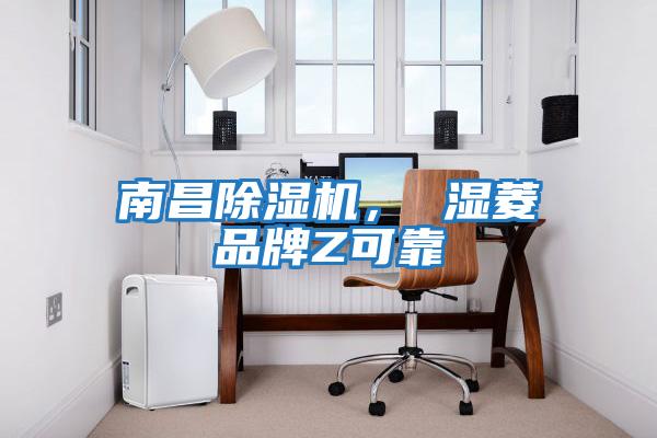 南昌除濕機(jī)， 濕菱品牌Z可靠