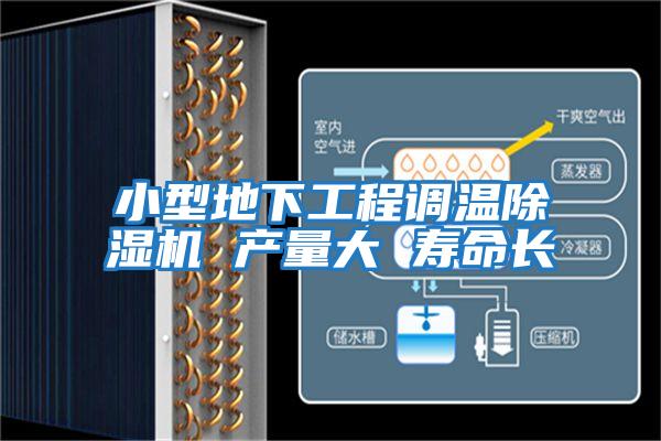 小型地下工程調溫除濕機 產量大 壽命長