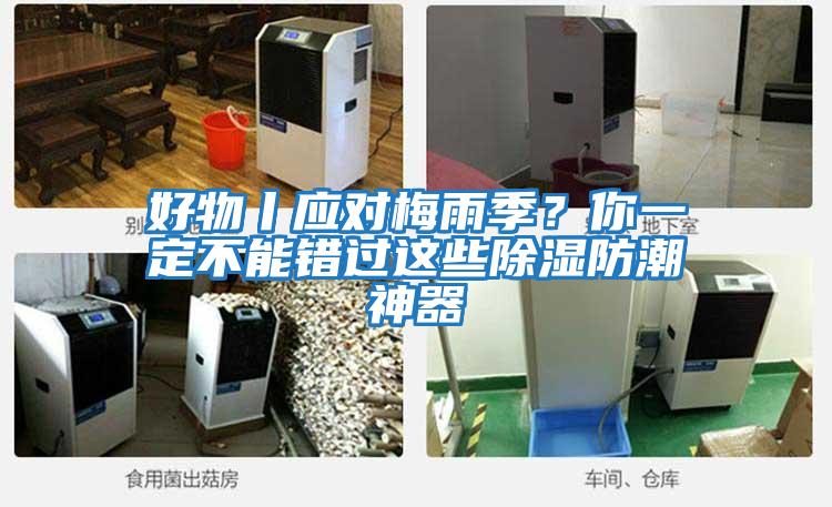好物丨應(yīng)對(duì)梅雨季？你一定不能錯(cuò)過(guò)這些除濕防潮神器