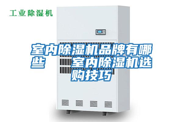 室內(nèi)除濕機(jī)品牌有哪些 室內(nèi)除濕機(jī)選購技巧