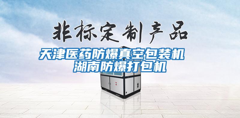 天津醫(yī)藥防爆真空包裝機 湖南防爆打包機