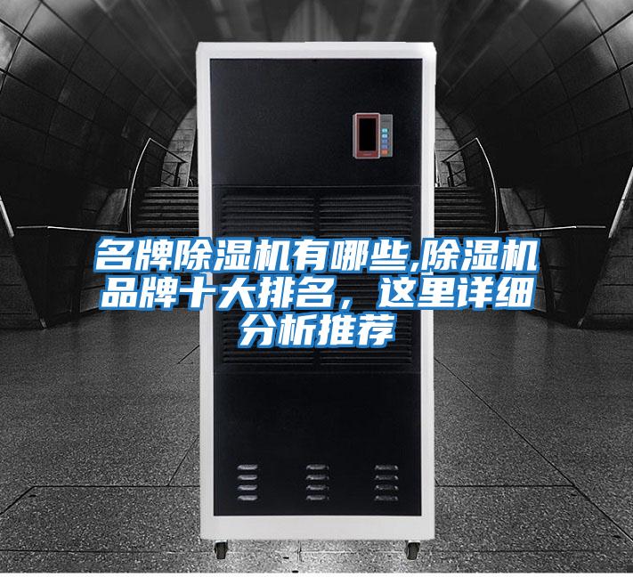 名牌除濕機有哪些,除濕機品牌十大排名，這里詳細分析推薦