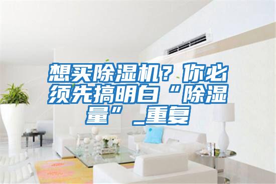 想買除濕機？你必須先搞明白“除濕量”_重復(fù)
