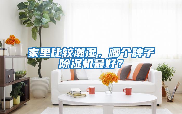 家里比較潮濕，哪個(gè)牌子除濕機(jī)最好？