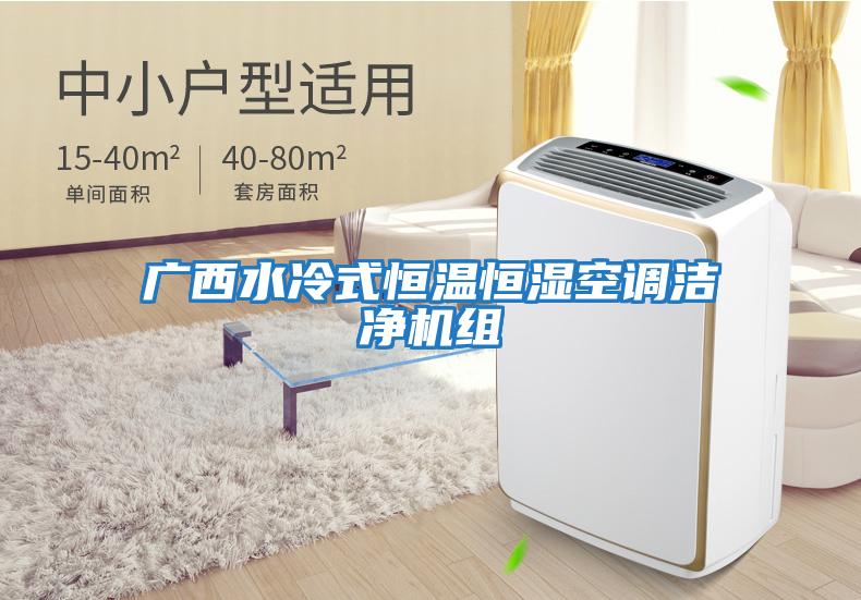 廣西水冷式恒溫恒濕空調潔凈機組