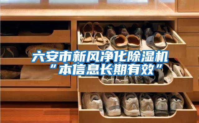 六安市新風(fēng)凈化除濕機(jī)“本信息長期有效”