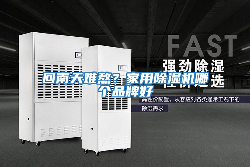 回南天難熬？家用除濕機哪個品牌好