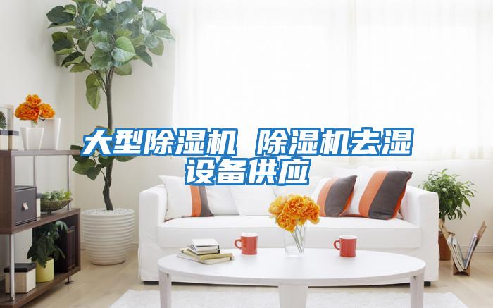 大型除濕機 除濕機去濕設備供應