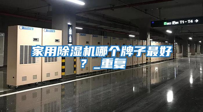 家用除濕機哪個牌子最好?_重復