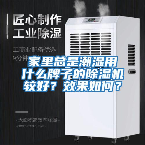 家里總是潮濕用什么牌子的除濕機較好？效果如何？