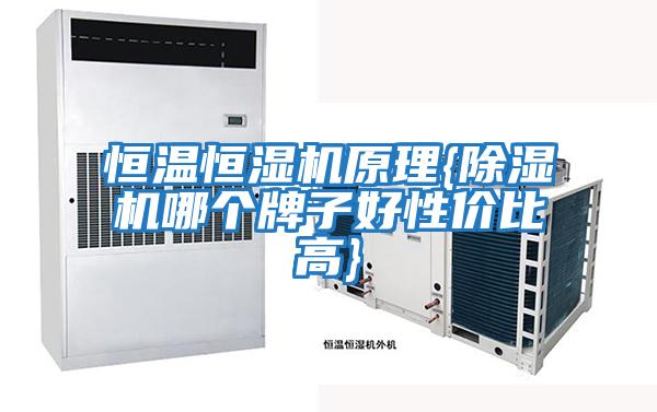 恒溫恒濕機(jī)原理{除濕機(jī)哪個牌子好性價比高}