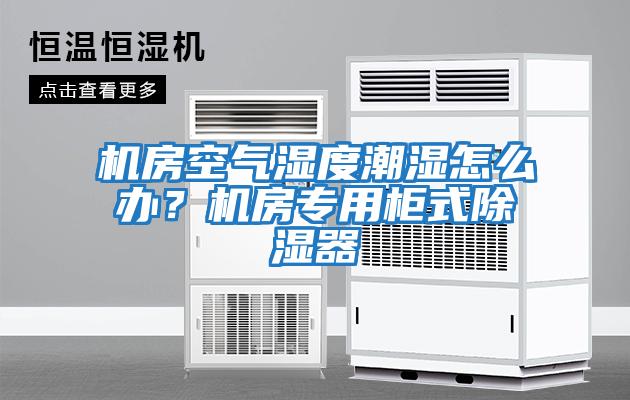 機房空氣濕度潮濕怎么辦？機房專用柜式除濕器