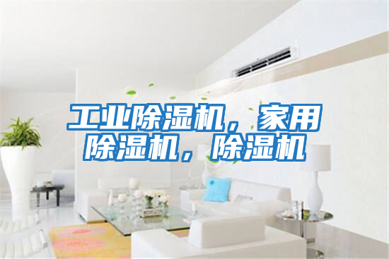 工業除濕機,家用除濕機,除濕機