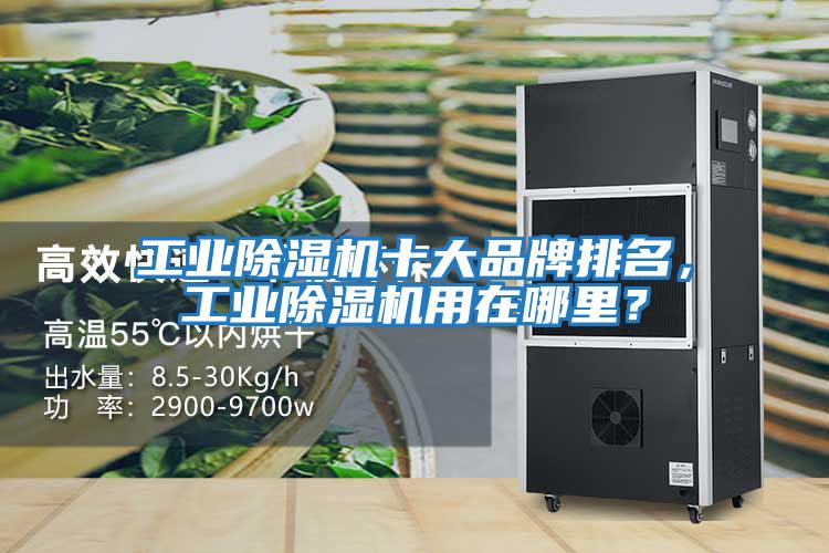 工業除濕機十大品牌排名,工業除濕機用在哪里?