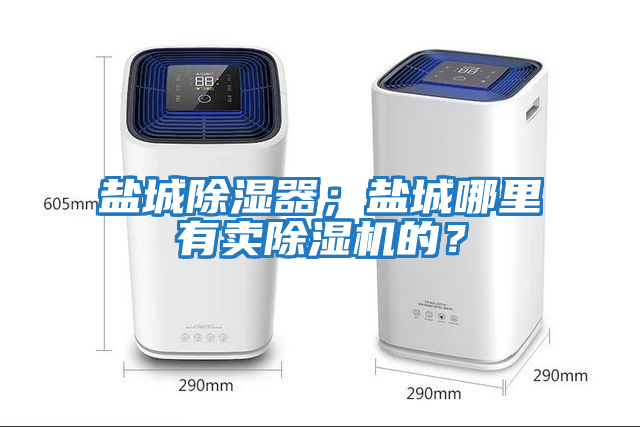 鹽城除濕器;鹽城哪里有賣除濕機的?