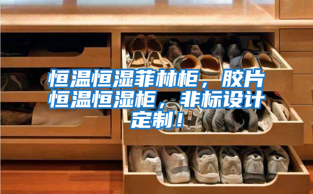 恒溫恒濕菲林柜，膠片恒溫恒濕柜，非標(biāo)設(shè)計(jì)定制！