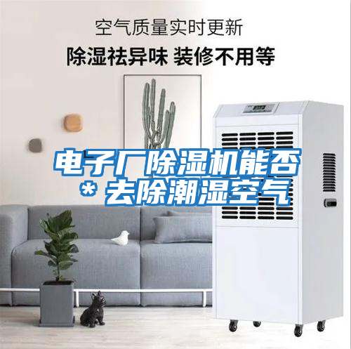 電子廠除濕機能否*去除潮濕空氣