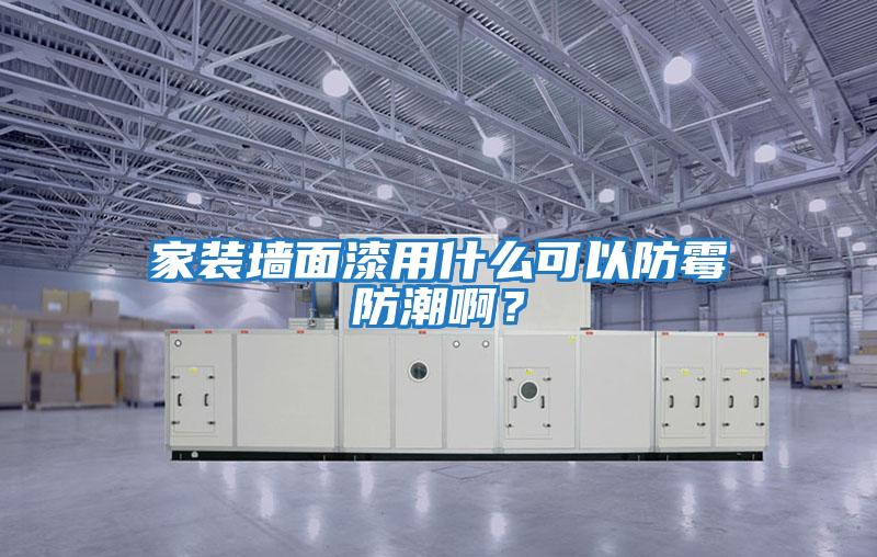 家裝墻面漆用什么可以防霉防潮啊？