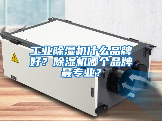工業除濕機什么品牌好？除濕機哪個品牌最專業？