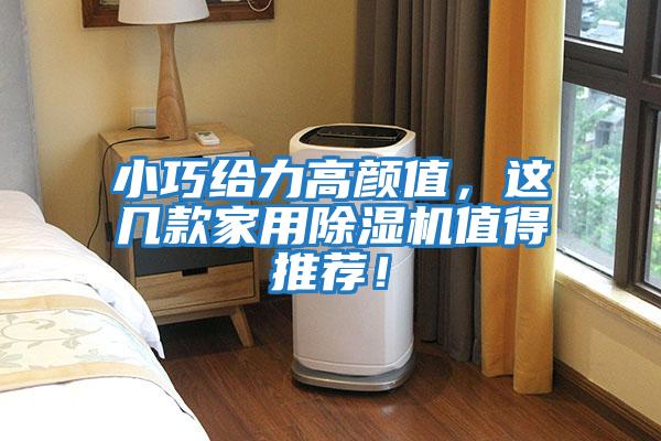 小巧給力高顏值，這幾款家用除濕機(jī)值得推薦！