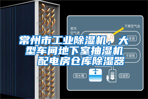常州市工業(yè)除濕機,大型車間地下室抽濕機 配電房倉庫除濕器