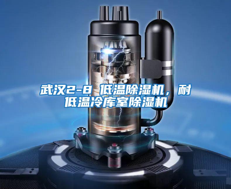 武漢2-8℃低溫除濕機(jī)，耐低溫冷庫(kù)室除濕機(jī)