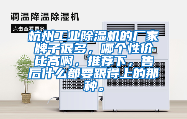 杭州工業(yè)除濕機(jī)的廠家牌子很多，哪個(gè)性?xún)r(jià)比高啊，推薦下，售后什么都要跟得上的那種。