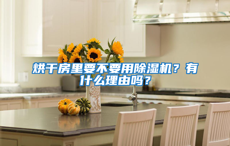 烘干房里要不要用除濕機？有什么理由嗎？