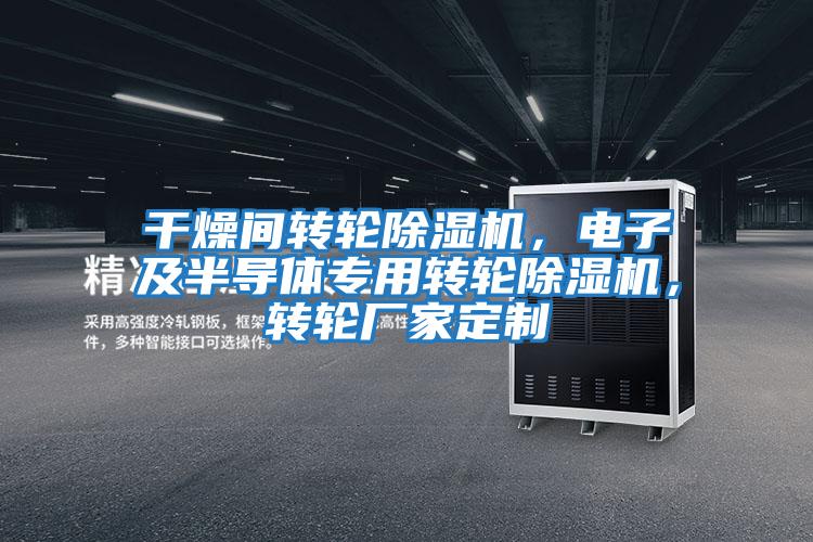 干燥間轉(zhuǎn)輪除濕機，電子及半導體專用轉(zhuǎn)輪除濕機，轉(zhuǎn)輪廠家定制