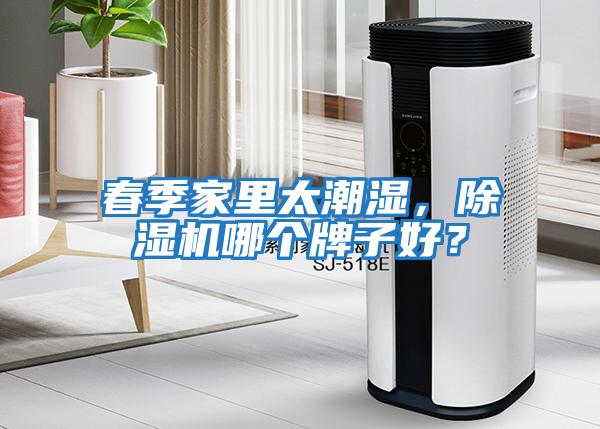 春季家里太潮濕，除濕機哪個牌子好？