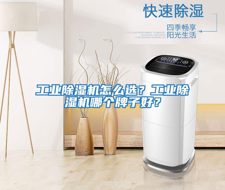 工業除濕機怎么選?工業除濕機哪個牌子好?