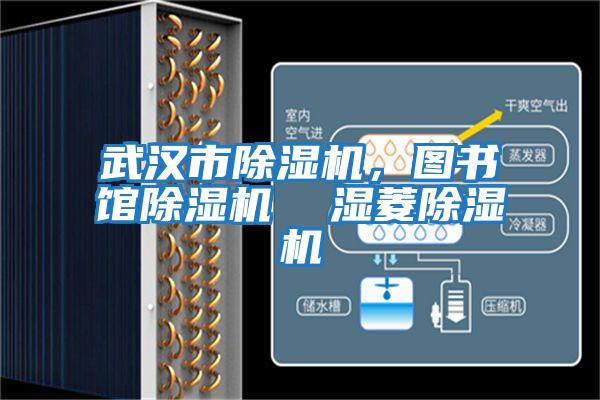 武漢市除濕機,圖書館除濕機 濕菱除濕機