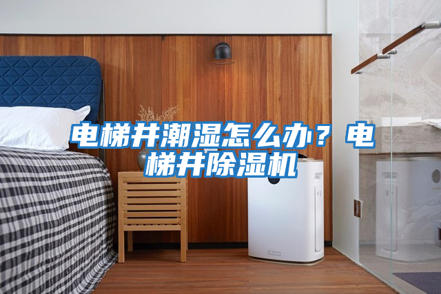 電梯井潮濕怎么辦？電梯井除濕機