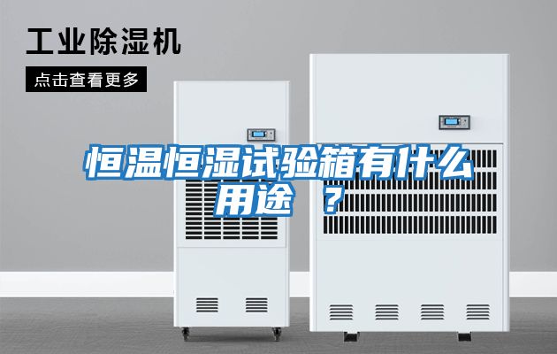 恒溫恒濕試驗(yàn)箱有什么用途 ？