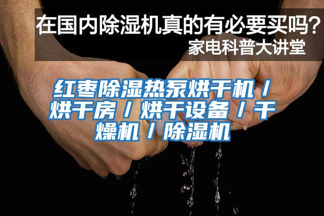 紅棗除濕熱泵烘干機(jī)/烘干房/烘干設(shè)備/干燥機(jī)/除濕機(jī)