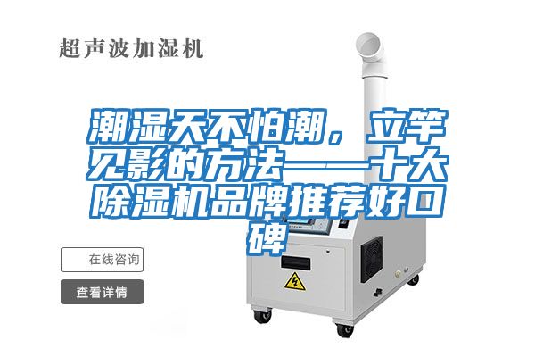 潮濕天不怕潮,立竿見影的方法——十大除濕機(jī)品牌推薦好口碑