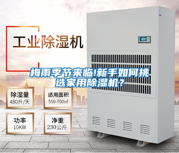梅雨季節來臨!新手如何挑選家用除濕機？