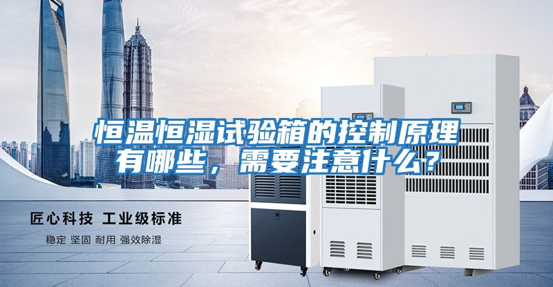 恒溫恒濕試驗(yàn)箱的控制原理有哪些,需要注意什么?
