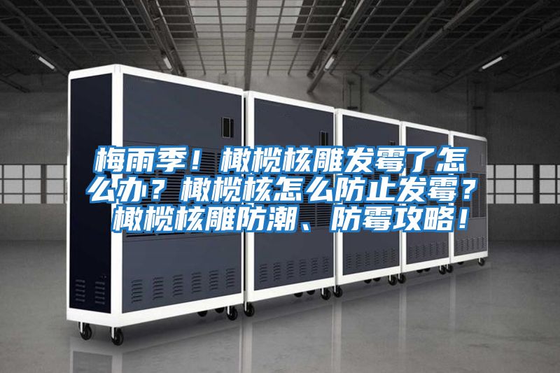 梅雨季！橄欖核雕發霉了怎么辦？橄欖核怎么防止發霉？ 橄欖核雕防潮、防霉攻略！