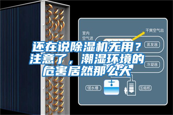 還在說除濕機無用？注意了，潮濕環境的危害居然那么大