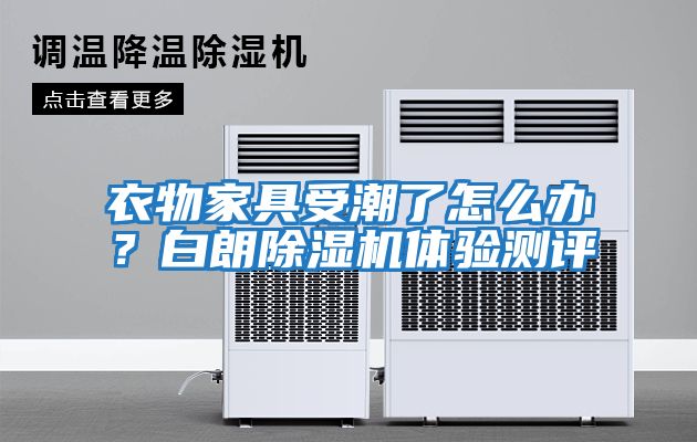 衣物家具受潮了怎么辦？白朗除濕機體驗測評