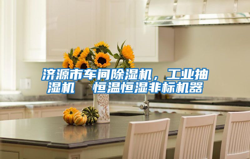 濟源市車間除濕機，工業抽濕機  恒溫恒濕非標機器