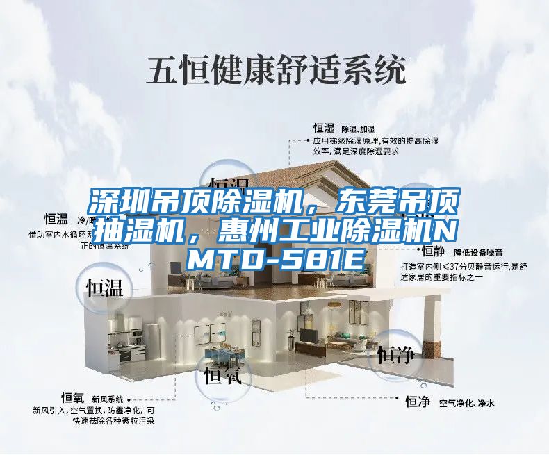 深圳吊頂除濕機，東莞吊頂抽濕機，惠州工業(yè)除濕機NMTD-581E