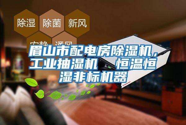 眉山市配電房除濕機，工業(yè)抽濕機  恒溫恒濕非標機器